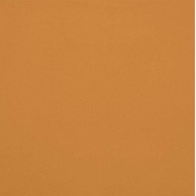 Напольная плитка Casalgrande Padana Unicolore Technic Naturale Giallo Ocra 8,3